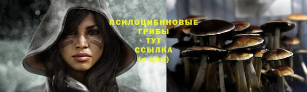 герыч Корсаков