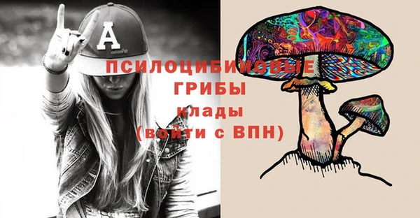 мдпв Краснотурьинск