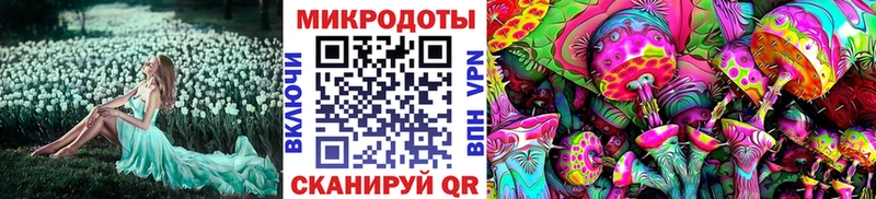 наркота  Набережные Челны  Галлюциногенные грибы Magic Shrooms 
