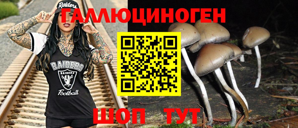 Псилоцибиновые грибы Psilocybe  Набережные Челны  Галлюциногенные грибы GOLDEN TEACHER 