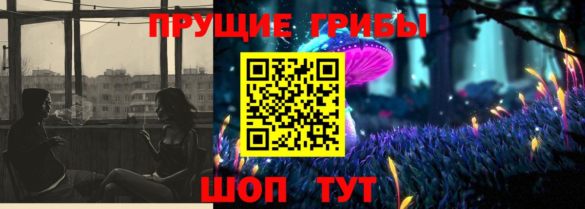 Набережные Челны  Галлюциногенные грибы Psilocybine cubensis  Вход с VPN 
